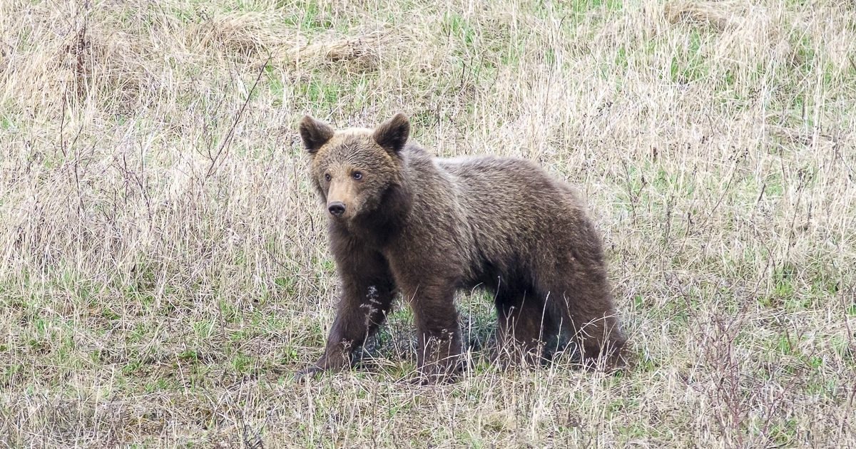 Több mint 2 millió lej kártérítés